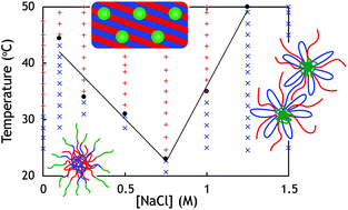 Graphical abstract: Self-assembly of oppositely charged polyelectrolyte block copolymers containing short thermoresponsive blocks