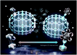 Graphical abstract: Separation of halogenated benzenes enabled by investigation of halogen–π interactions with carbon materials