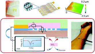 Graphical abstract: Nanostrip flexible microwave enzymatic biosensor for noninvasive epidermal glucose sensing