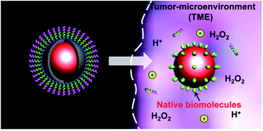 Graphical abstract: Stimulus-responsive surface-enhanced Raman scattering: a “Trojan horse” strategy for precision molecular diagnosis of cancer