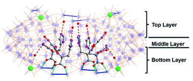 Graphical abstract: Peptide sequence mediated self-assembly of molybdenum blue nanowheel superstructures