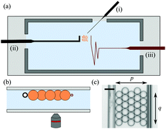 Graphical abstract: Mechanical properties of 2D aggregates of oil droplets as model mono-crystals