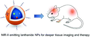 Graphical abstract: Lanthanide nanoparticles with efficient near-infrared-II emission for biological applications