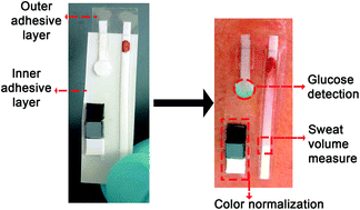 Graphical abstract: Detection of low glucose levels in sweat with colorimetric wearable biosensors