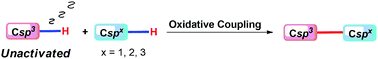 Graphical abstract: Recent progress in the oxidative coupling of unactivated Csp3–H bonds with other C–H bonds