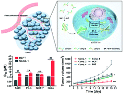 Graphical abstract: Tandem molecular self-assembly for selective lung cancer therapy with an increase in efficiency by two orders of magnitude