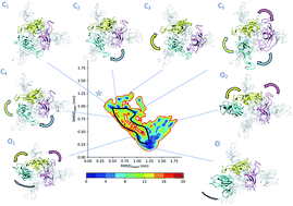 Graphical abstract: Determination of intermediate state structures in the opening pathway of SARS-CoV-2 spike using cryo-electron microscopy