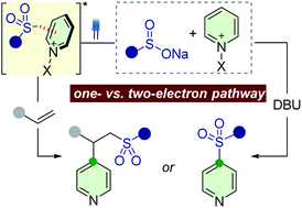 Graphical abstract: Divergent reactivity of sulfinates with pyridinium salts based on one- versus two-electron pathways