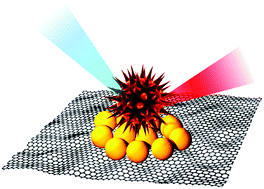 Graphical abstract: 2D materials as a diagnostic platform for the detection and sensing of the SARS-CoV-2 virus: a bird's-eye view