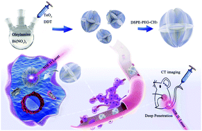 Graphical abstract: Carambola-like Bi2Te3 superstructures with enhanced photoabsorption for highly efficient photothermal therapy in the second near-infrared biowindow