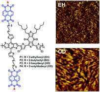 Graphical abstract: Effects of alkyl side chains of double-cable conjugated polymers on the photovoltaic performance of single-component organic solar cells