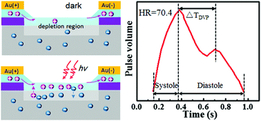 Graphical abstract: Fabrication of a γ-In2Se3/Si heterostructure phototransistor for heart rate detection