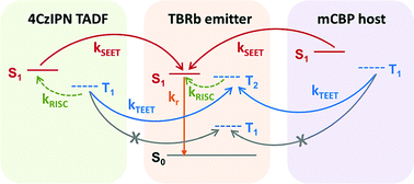 Graphical abstract: Energy transfer processes in hyperfluorescent organic light-emitting diodes