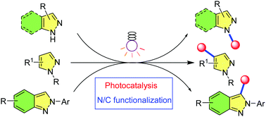 Graphical abstract: Visible light-induced functionalization of indazole and pyrazole: a recent update