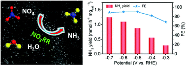 Graphical abstract: Co nanoparticle-decorated pomelo-peel-derived carbon enabled high-efficiency electrocatalytic nitrate reduction to ammonia