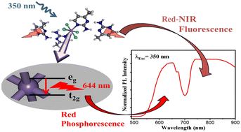 Graphical abstract: Excitation dependent white and red-NIR emission of a MnII-based complex