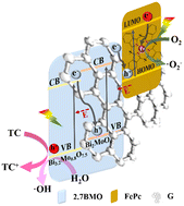 Graphical abstract: Graphene oxide modulated dual S-scheme ultrathin heterojunctions with iron phthalocyanine and phase-mixed bismuth molybdate as wide visible-light catalysts