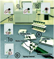 Graphical abstract: Autonomous electrochemical biosensing of glial fibrillary acidic protein for point-of-care detection of central nervous system injuries