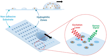 Graphical abstract: Non-adhesive contrast substrate for single-cell trapping and Raman spectroscopic analysis