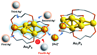 Graphical abstract: Mechanistic insights into Ag+ induced size-growth from [Au6(DPPP)4]2+ to [Au7(DPPP)4]2+ clusters