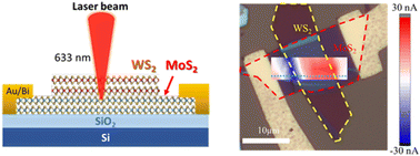 Graphical abstract: Observation of the photovoltaic effect in a van der Waals heterostructure