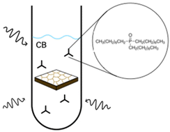 Graphical abstract: Microwave-facilitated crystal growth of defect-passivated triple-cation metal halide perovskites toward efficient solar cells