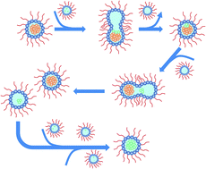 Graphical abstract: Site specific NMR characterization of abeta-40 oligomers cross seeded by abeta-42 oligomers