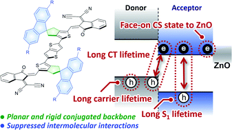 Graphical abstract: Effects of the rigid and sterically bulky structure of non-fused nonfullerene acceptors on transient photon-to-current dynamics