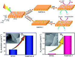 Graphical abstract: Modulating surface charges of bismuth tantalum oxychloride nanoplates for promoting photogenerated charge separation