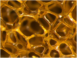 Graphical abstract: Urethane functions can reduce metal salts under hydrothermal conditions: synthesis of noble metal nanoparticles on flexible sponges applied in semi-automated organic reduction