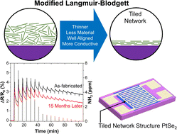 Graphical abstract: Highly conductive and long-term stable films from liquid-phase exfoliated platinum diselenide