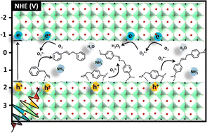 Graphical abstract: Insights into interfacial mechanisms: CsPbBr3 nanocrystals as sustainable photocatalysts for primary amine oxidation