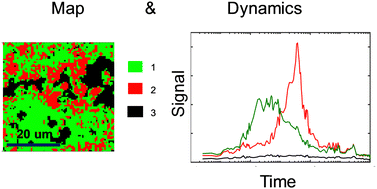 Graphical abstract: Pattern-illumination time-resolved phase microscopy and its applications for photocatalytic and photovoltaic materials