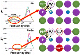 Graphical abstract: Substitution of lead with tin suppresses ionic transport in halide perovskite optoelectronics