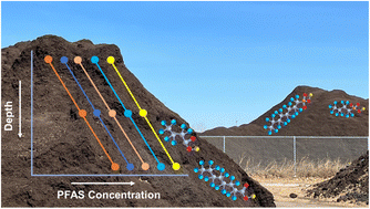 Graphical abstract: PFAS occurrence and distribution in yard waste compost indicate potential volatile loss, downward migration, and transformation