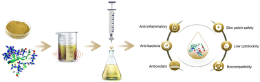 Graphical abstract: Ultrasonic assisted natural deep eutectic solvents as a green and efficient approach for extraction of hydroxytyrosol from olive leaves