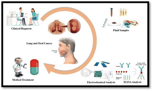 Graphical abstract: Recent advancement in the detection of potential cancer biomarkers using the nanomaterial integrated electrochemical sensing technique: a detailed review