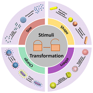 Graphical abstract: Nanoparticles with transformable physicochemical properties for overcoming biological barriers