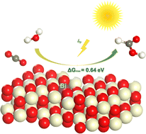 Graphical abstract: Improved photocatalytic carbon dioxide reduction over Bi-doped CeO2 by strain engineering