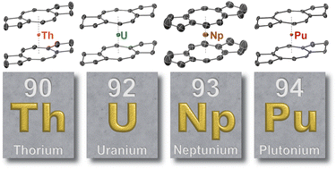 Graphical abstract: Synthesis and characterization of isostructural annulated actinocenes