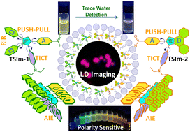 Graphical abstract: Tetrasubstituted imidazole-based multifunctional fluorophores: trace water detection and lipid droplet (LD) imaging studies