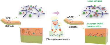 Graphical abstract: Designing interfacially stable Na-ion polymer electrolytes with tailored local solvation structures
