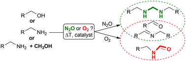 Graphical abstract: Bioinspired copper-catalysed nitrous oxide reduction with simultaneous N–H or O–H bond oxidation