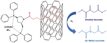 Graphical abstract: Immobilization of a chiral rhodium catalyst on carbon nanotubes via non-covalent interaction for heterogeneous asymmetric hydrogenation