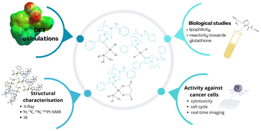 Graphical abstract: Unveiling the promising in vitro anticancer activity of lipophilic platinum(ii) complexes containing (1S,4R,5R)-4-(4-phenyl-1H-1,2,3-triazol-1-yl)-2-((S)-1-phenylethyl)-2-azabicyclo[3.2.1]octane: a spectroscopic characterization and DFT calculation