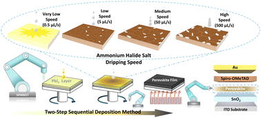 Graphical abstract: Precise control of process parameters for >23% efficiency perovskite solar cells in ambient air using an automated device acceleration platform