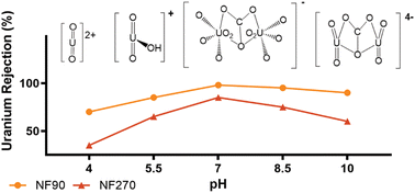 Graphical abstract: Uranium rejection with nanofiltration membranes and the influence of environmentally relevant mono- and divalent cations at various pH