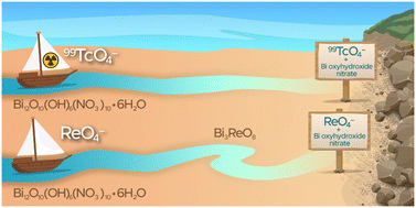 Graphical abstract: Different routes of bismuth mineral transformation during pertechnetate and perrhenate uptake for subsurface remediation