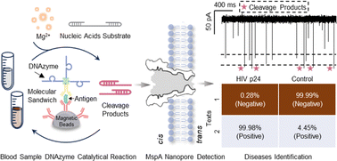 Graphical abstract: Molecular sandwich-based DNAzyme catalytic reaction towards transducing efficient nanopore electrical detection of antigen proteins