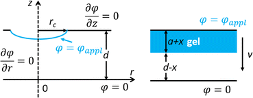 Graphical abstract: Charge-induced deformation of scanning electrolyte before contact